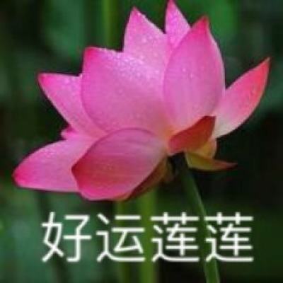 浙江龙游红木小镇：红木文化见精神